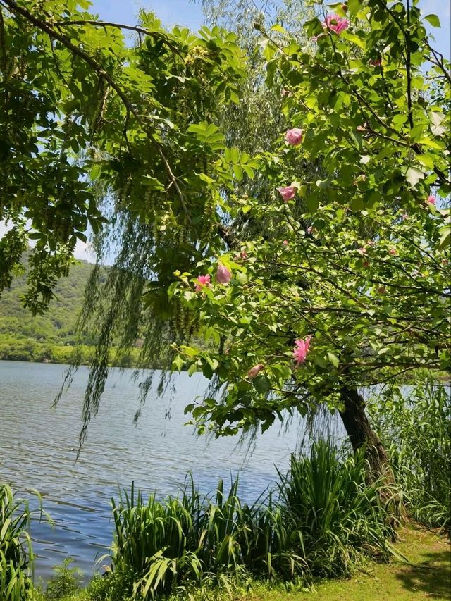 Xianghu Lake – West Lake’s Enchanting Sister