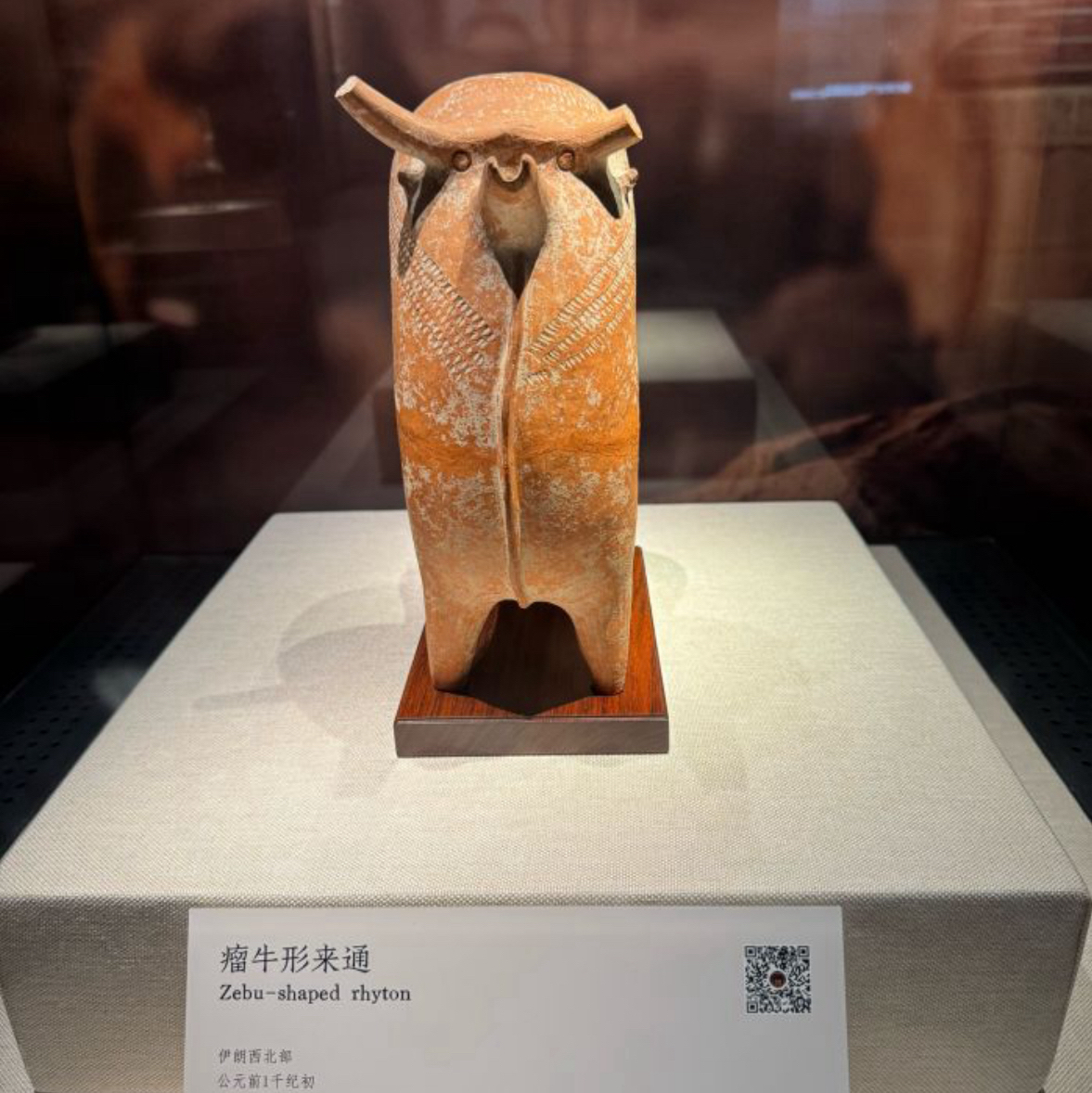 中国博物館⑤ 中国/深圳博物館】 | Trip.com 深セン