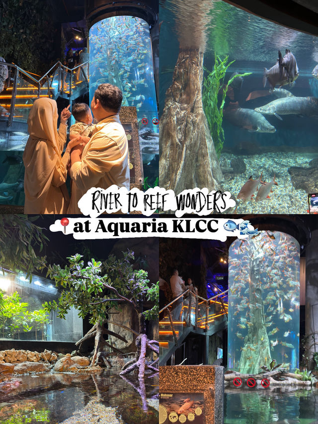 River to Reef Wonders at Aquaria KLCC