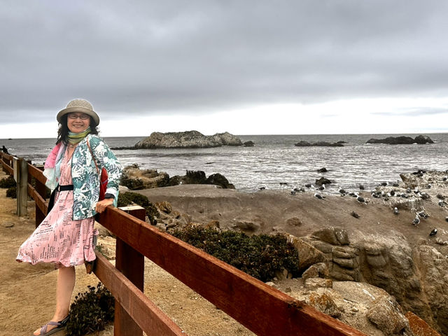Stunning 17 Miles between Monterey and Carmel