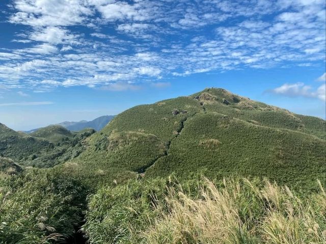 Experience the Tranquil Beauty of Qingtiangang Grassland