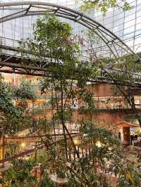 マレーシア初！都会の中の森カフェ体験🌿1 Utamaのレインフォレスト
