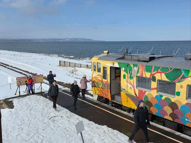 유빙둥둥 오호츠크해를 따라 달리는 유빙이야기호
