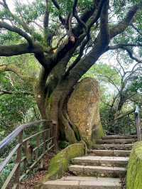 Elephant Mountain Trail: Taipei’s Scenic Hike