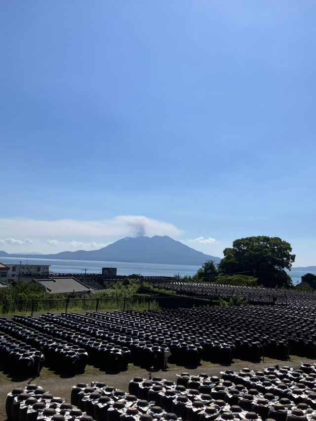【鹿児島・霧島市】⛩️霧島神宮🏺黒酢ガーデン壺畑〜霧の聖地と黒酢壺の歴史旅〜