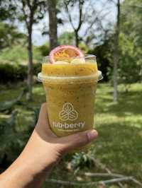 ร้านลับต้องไป! ไม่ใกล้ไม่ไกล ‘เขื่อนปราณบุรี 🏔️✨