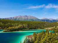 🏔 유콘 화이트호스 & 오로라: 빛의 축제