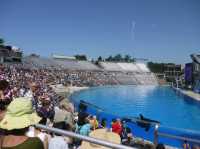 📍 아이들과 가기좋은 샌디에이고 씨월드 (SeaWorld San Diego)