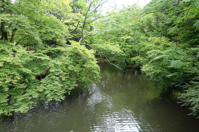 긴린코 호수