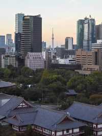 【東京ホテル】東京タワーを独り占め！