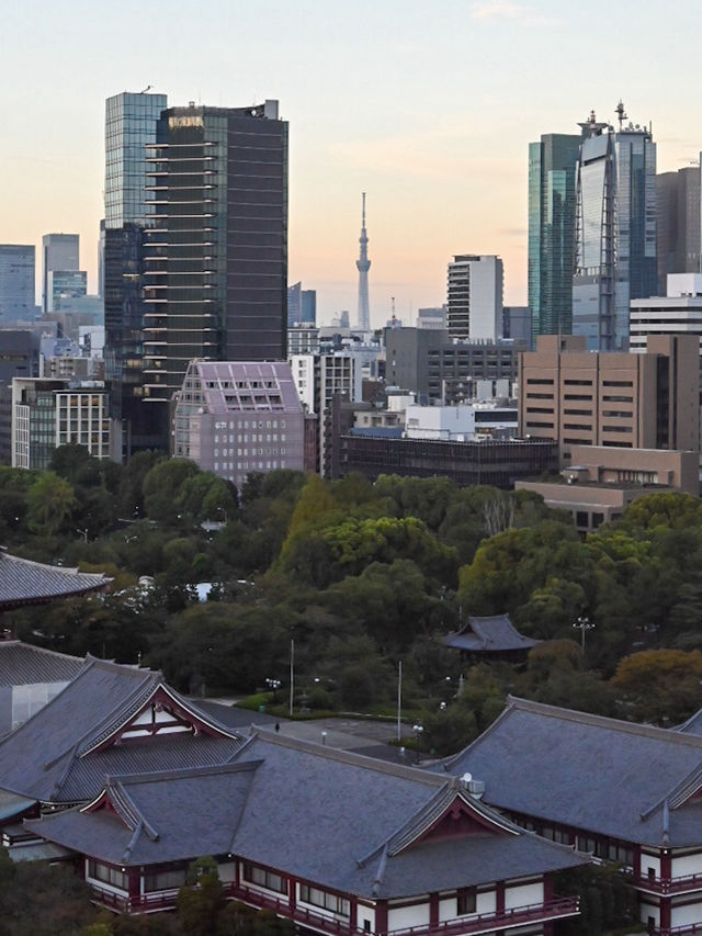 【東京ホテル】東京タワーを独り占め！