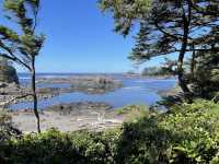 Pacific Rim National Park Reserve 🌊🌲