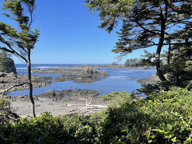 Pacific Rim National Park Reserve 🌊🌲