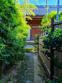 Zojo-ji Temple – Tradition Beneath Tokyo Tower 🛕