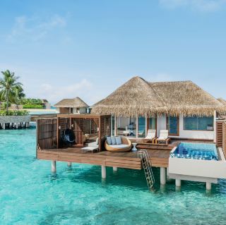 Rebel in Paradise