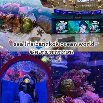📍sea life bangkok ocean world -สยามพารากอน