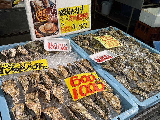 白濱 Shirahama - 日落Sunset🌅海鮮Seafood🐟沙灘Beach🏖️