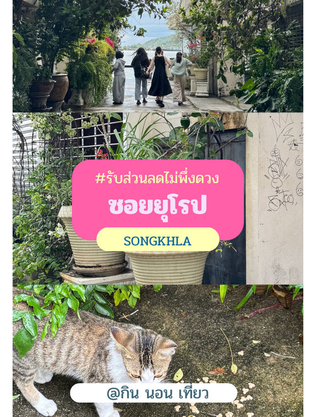 🌸 ซอยยุโรป ถนนนางงาม 