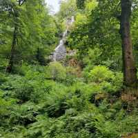 Discover Natural Wonder at Canonteign Falls