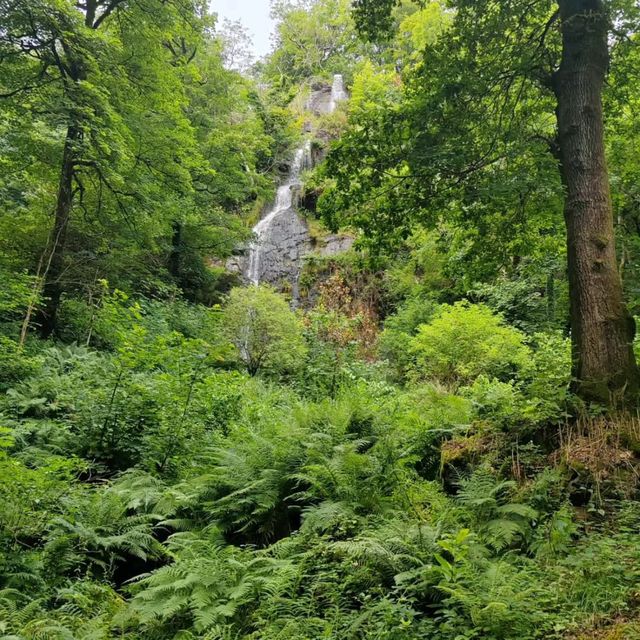 Discover Natural Wonder at Canonteign Falls