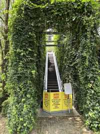 🌿 Tamarind Square, Sepang – A Green Escape with Urban Charm