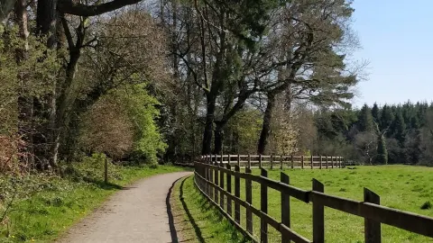 Maine Riverside Walk – ความเงียบสงบริมแม่น้ำและเสน่ห์แบบท้องถิ่นในเขตแอนทริม — traveler post in Ballymena