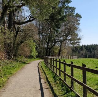 Maine Riverside Walk – Riverside calm & local charm in County Antrim