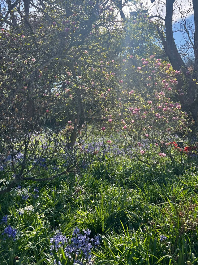 Spring Feels in beautiful Christchurch🌷