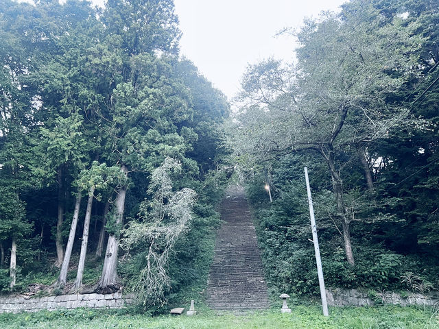 仙台・亀岡八幡宮｜石鳥居と長い石段が語る歴史と自然のパワースポット