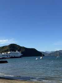 【ニュージーランド・ピクトン】海と自然に癒される「ピクトン記念公園」🌊🌳