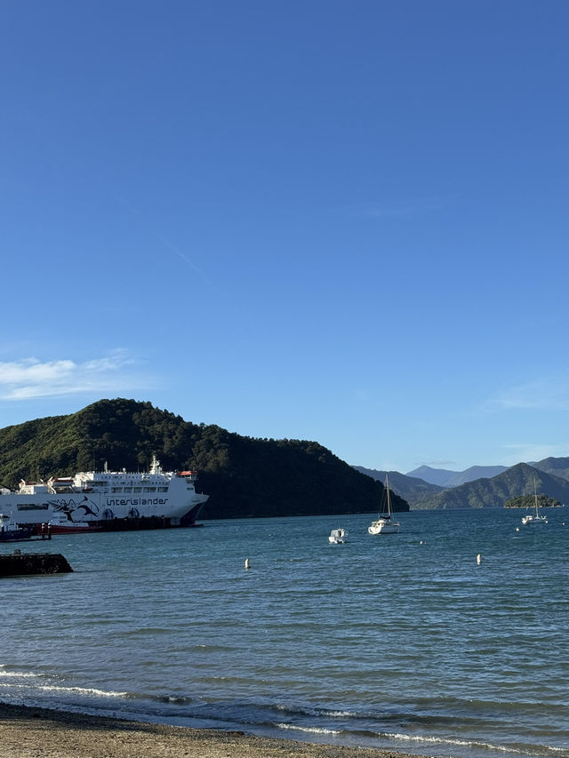 【ニュージーランド・ピクトン】海と自然に癒される「ピクトン記念公園」🌊🌳