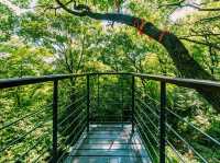 上海🇨🇳余山國家旅遊度假區
