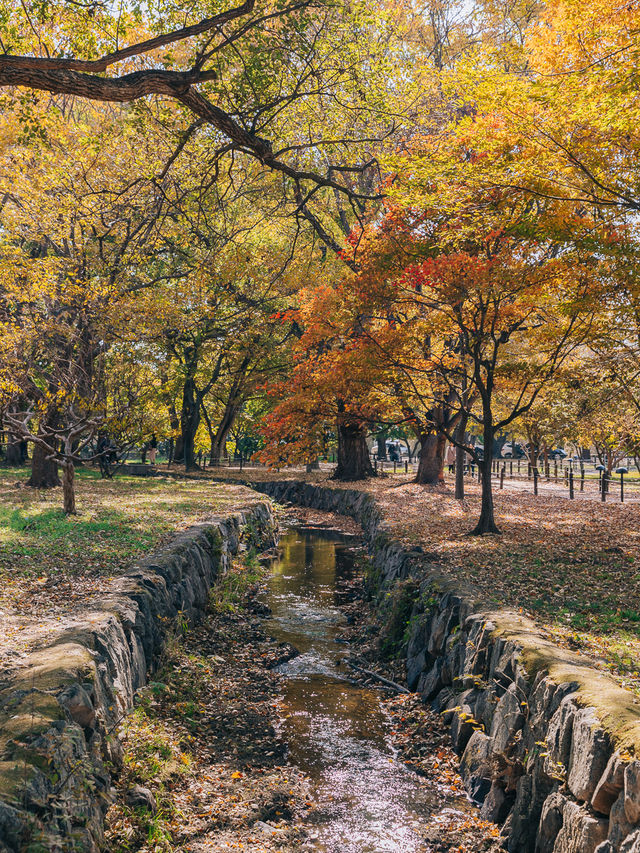 10월 경북 경주 여행 일정