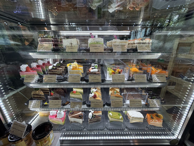 🌿✨ รีวิว หลงป่า คาเฟ่ อุดรธานี 