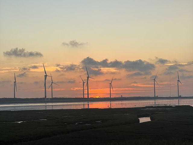Sunset Vibes at Taichung's Gaomei Wetlands 🌅🚲