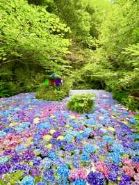 🌸 Nanzoin Temple — Serenity, Hydrangeas, and the Great Reclining Buddha