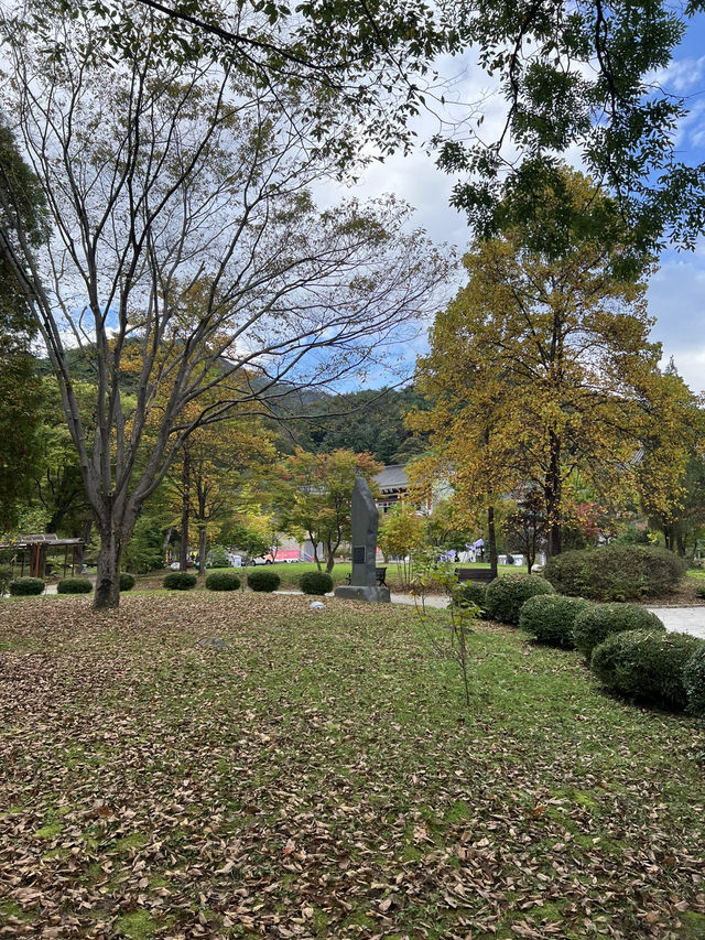 양평에 이렇게 좋은 계곡과 산사가🌿
