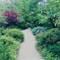 A Midwest Sanctuary: My Solo Day at Anderson Japanese Gardens, Rockford
