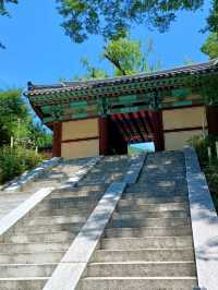 고즈넉한 풍경, 천은사 나들이🍃