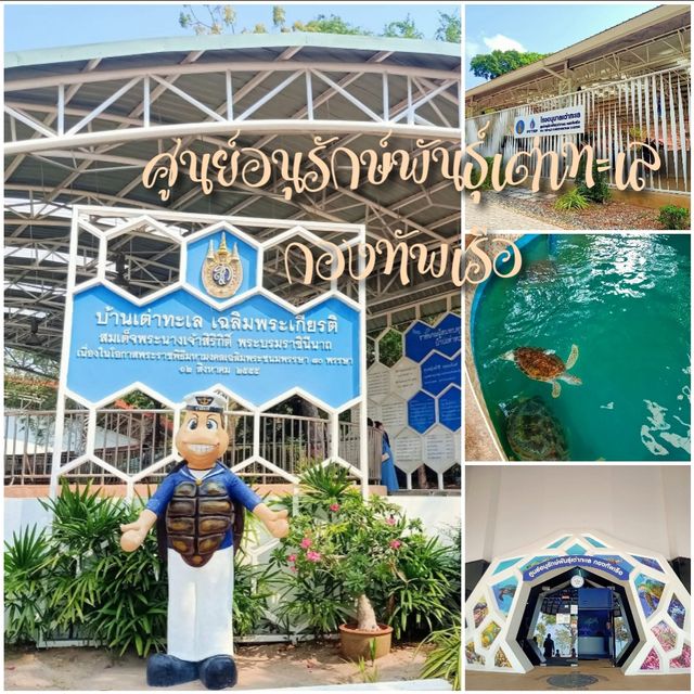 ศูนย์อนุรักษ์พันธุ์เต่าทะเล กองทัพเรือ