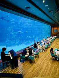 🐢🌊  The Sea Shell – Inside the Giant Turtle of VinWonders Phu Quoc