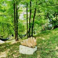 Solo in the Quiet Langhe: The Village of Sale San Giovanni