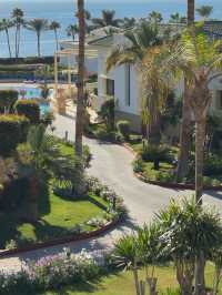 🌴 샤름 엘 셰이크 1박 2일 여행 코스 🐪