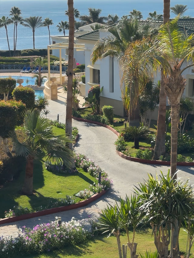 🌴 샤름 엘 셰이크 1박 2일 여행 코스 🐪 🌴 샤름 엘 셰이크 1박 2일 여행 코스 🐪