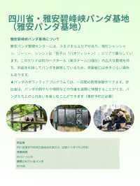 シャンシャンに会いたい！中国・四川省でパンダに会える場所