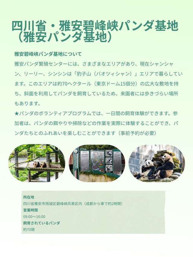 シャンシャンに会いたい！中国・四川省でパンダに会える場所
