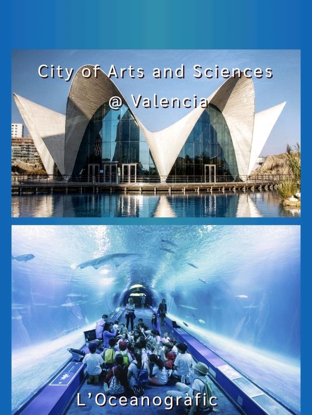City of Arts and Sciences @ Valencia City of Arts and Sciences @ Valencia
