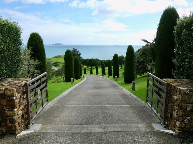 Where Every Corner Feels Like A Holiday