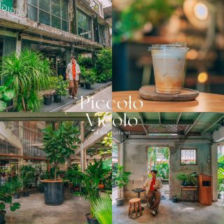  “หลบความวุ่นวาย มานั่งชิลในโอเอซิสกลางเมือง”