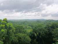 Chocolate Hill Dream🍃